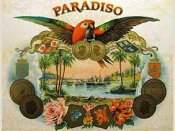 Paradiso