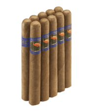 IBIS Nicaragua Robusto Bundle