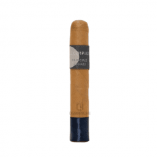 Principle Accomplice Connecticut Robusto cigarr