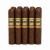 Casa Magna Colorado Torito cigarr