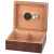 Humidor Leaf Intarsia – För 25 Cigarrer med Hygrometer & Befuktare