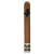 Nicarao Furia Inanna Limitada Second Elevation