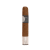Principle Accomplice Classic Robusto cigarr
