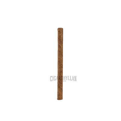 Cohiba Club