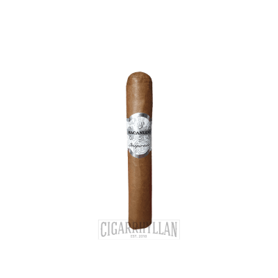 Macanudo White Robusto cigarr