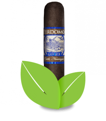 Lot 23 maduro gordito