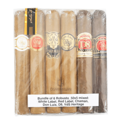 Vegas de Santiago Collection Robusto Sampler